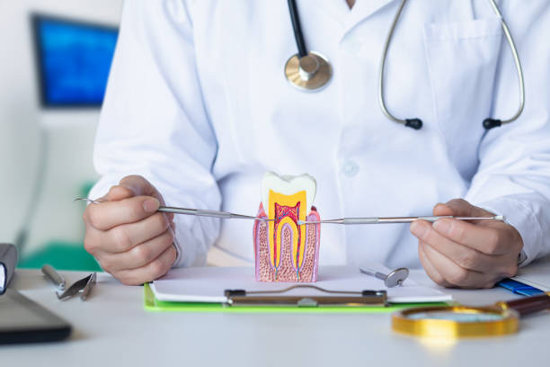 Best Emergency Root Canal Treatment in New Holstein, WI
